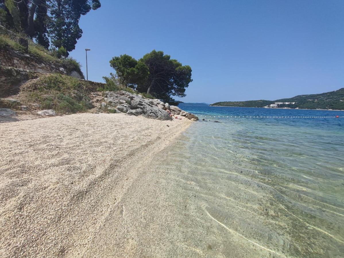 Villa Ivona With Swimming Pool And Jacuzzi Oslje Εξωτερικό φωτογραφία